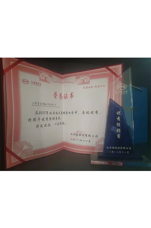 诸暨市比亚迪2018优秀经销商